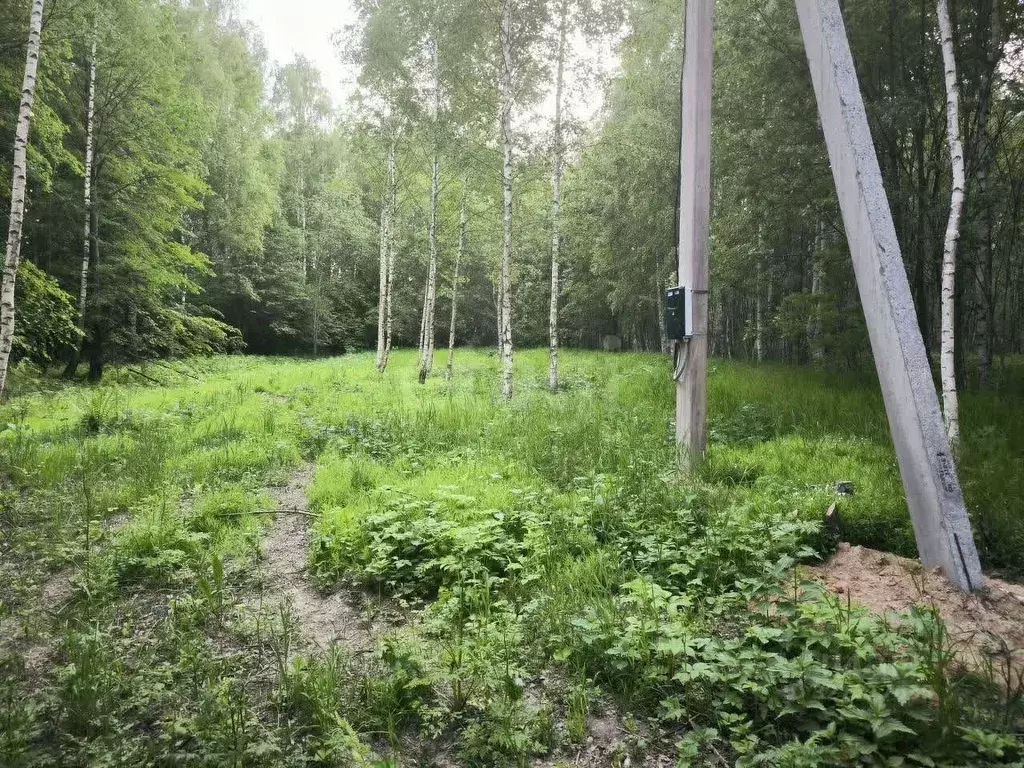 Участок в Костромская область, Костромской район, Середняковское ... - Фото 1