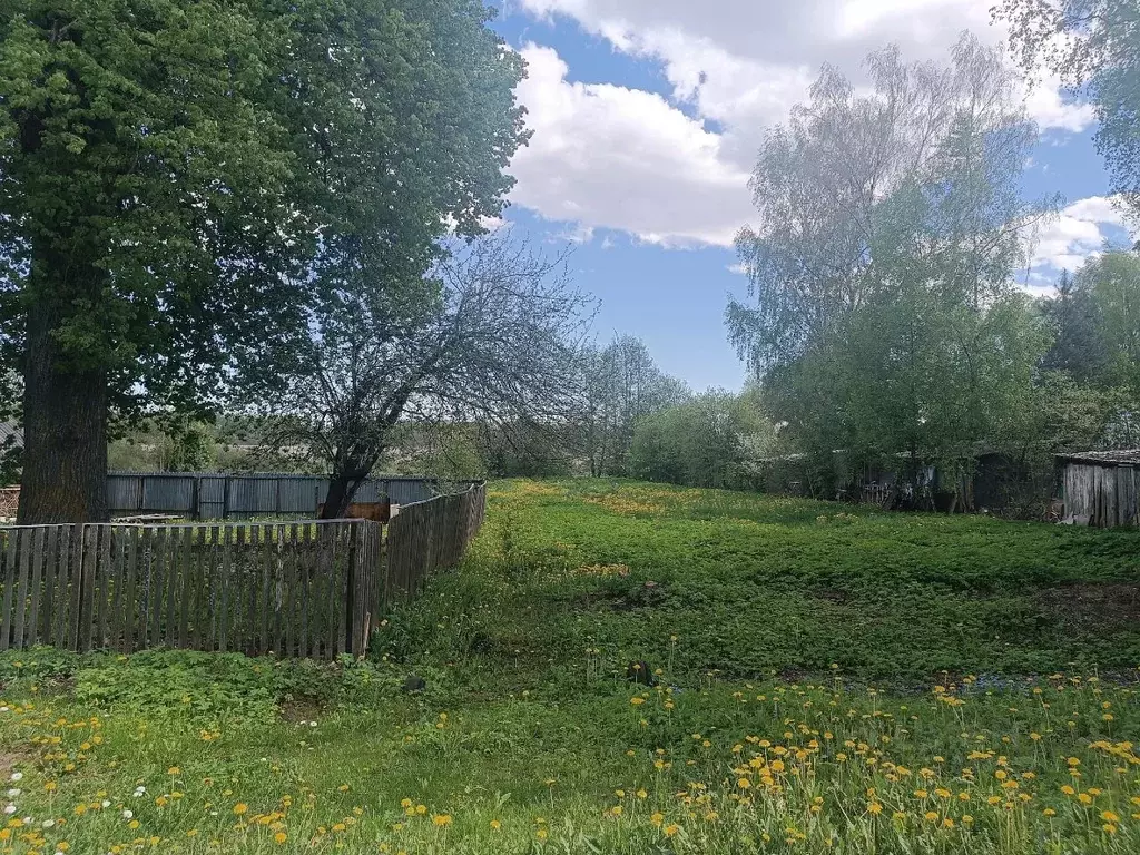 Участок в Новгородская область, Новгородский район, Ракомское с/пос, ... - Фото 0