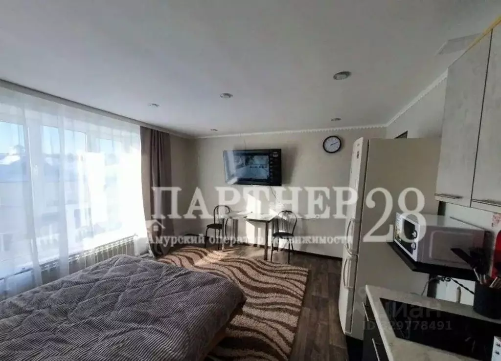 Студия Амурская область, Свободный Парниковая ул., 20 (23.8 м) - Фото 2