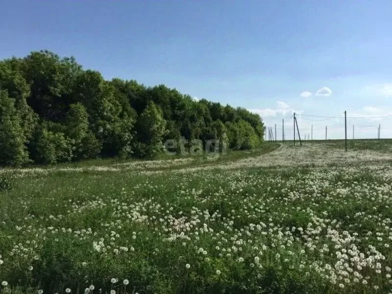 Участок в Татарстан, Тукаевский район, Биюрганское с/пос, д. Кулушево  ... - Фото 0