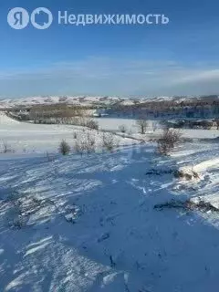 Участок в Майминский район, село Подгорное (11.3 м) - Фото 1