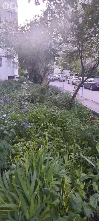 1-комнатная квартира: Самара, Пензенская улица, 51 (33 м) - Фото 1