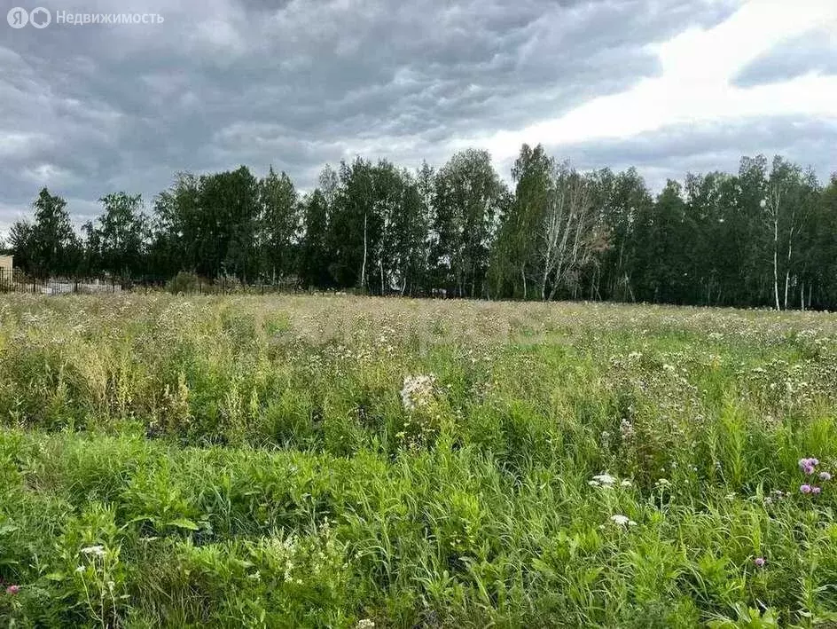 Участок в Тюменский район, коттеджный посёлок Новокаменский (35 м) - Фото 0