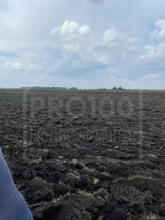 Участок в Омская область, Тюкалинск ул. Ленина (106800.0 сот.) - Фото 2