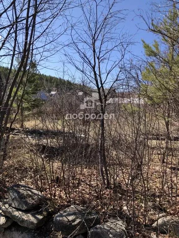 Участок в Свердловская область, Верхняя Пышма городской округ, пос. ... - Фото 1