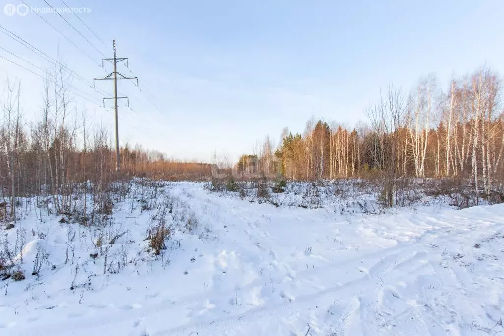 Участок в Тюменская область, Тобольск (12 м) - Фото 1