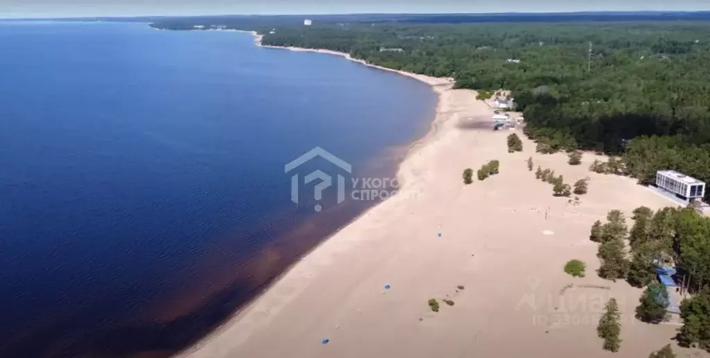 Участок в Ленинградская область, Всеволожский район, Рахьинское ... - Фото 2