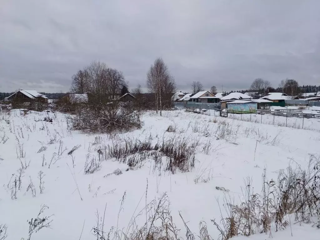 Участок в Московская область, Сергиево-Посадский городской округ, д. ... - Фото 1