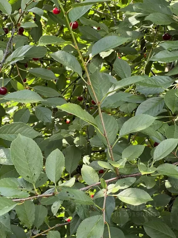 Дом в Московская область, Красногорск городской округ, д. Захарково  ... - Фото 2