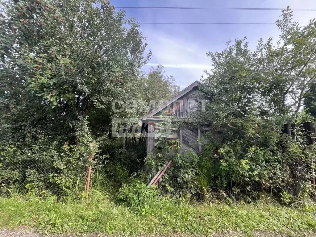 Участок в Нижегородская область, Нижний Новгород Плодово-ягодный сад ... - Фото 2