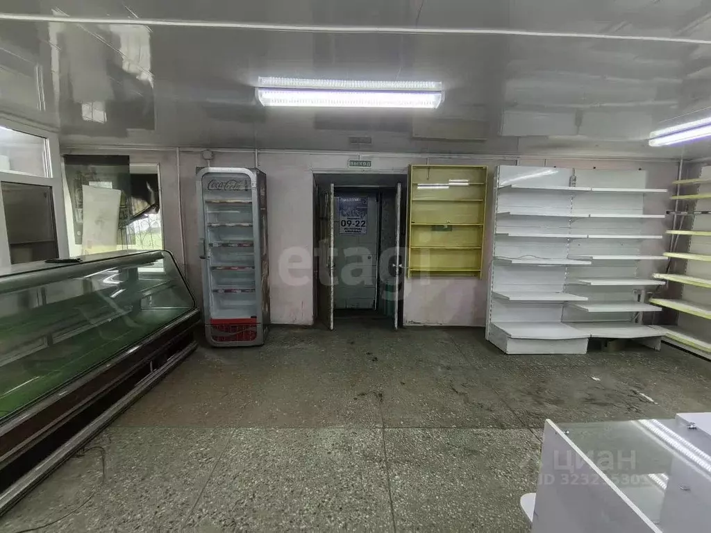 Торговая площадь в Камчатский край, Петропавловск-Камчатский ул. ... - Фото 1