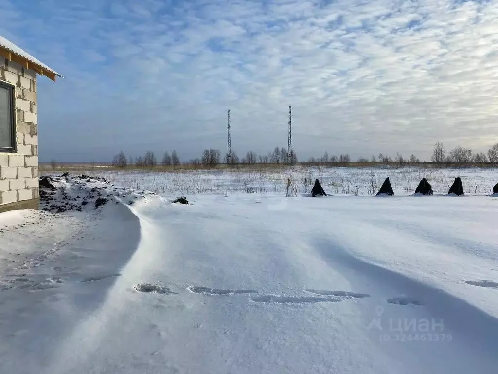 Дом в Ханты-Мансийский АО, Ханты-Мансийск Восточный мкр, 783 (54 м) - Фото 2