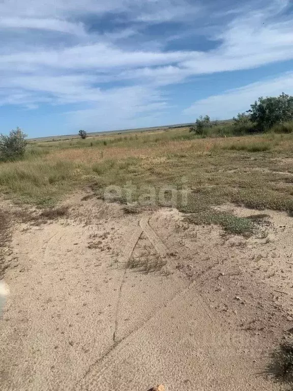 Участок в Крым, Черноморский район, с. Новосельское, Мечта-1 СНТ  ... - Фото 1