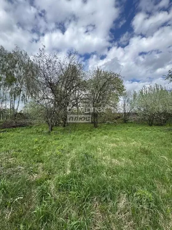 Участок в Нижегородская область, Бор Садовник СНТ,  (7.2 сот.) - Фото 2
