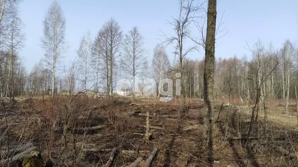 Участок в Брянская область, Брянск Большое Полпино пгт, пер. Брянский ... - Фото 0