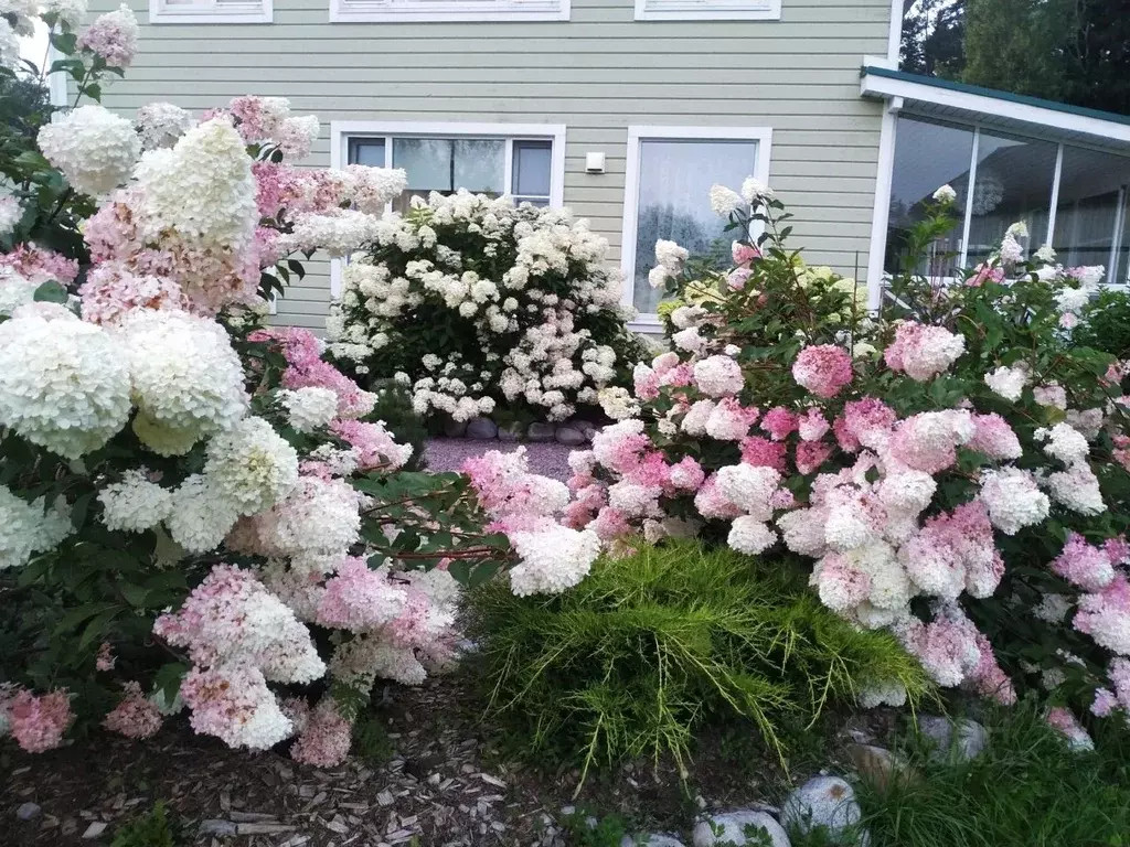 Коттедж в Карелия, Лахденпохья Загородная ул. (117 м) - Фото 1