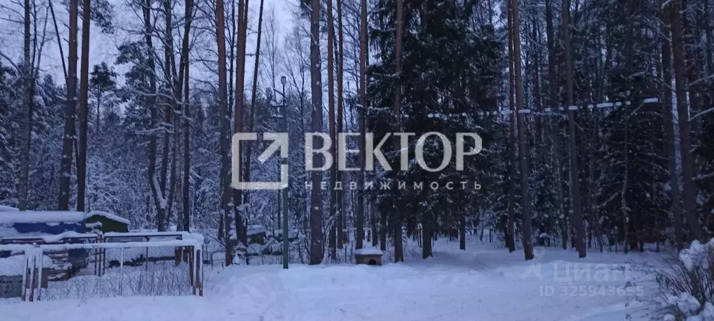 1-к кв. Ярославская область, Ярославский муниципальный округ, с. ... - Фото 2