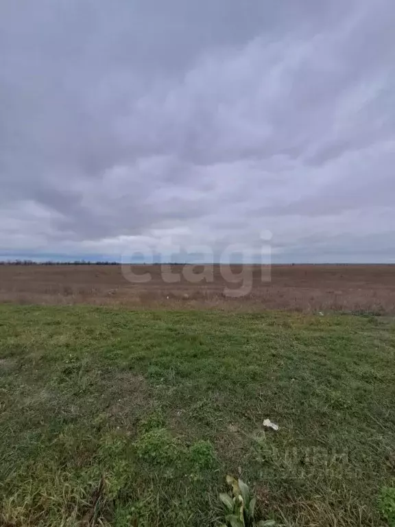 Участок в Крым, Сакский район, с. Штормовое ул. Ленина (6.02 сот.) - Фото 0