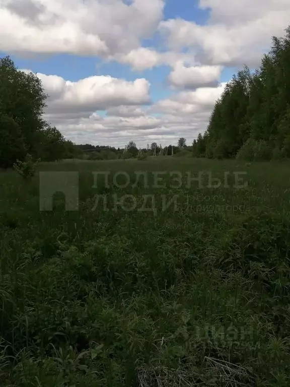 Участок в Новгородская область, Маловишерский муниципальный округ, ... - Фото 2