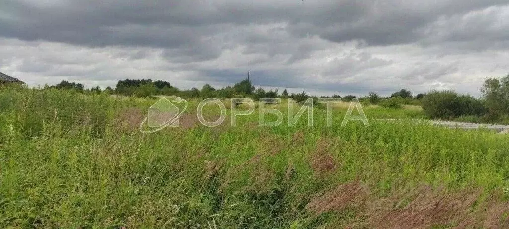 Участок в Тюменская область, Тюменский муниципальный округ, д. ... - Фото 1