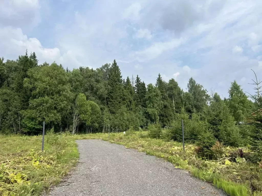 Участок в Московская область, Солнечногорск городской округ, д. ... - Фото 2