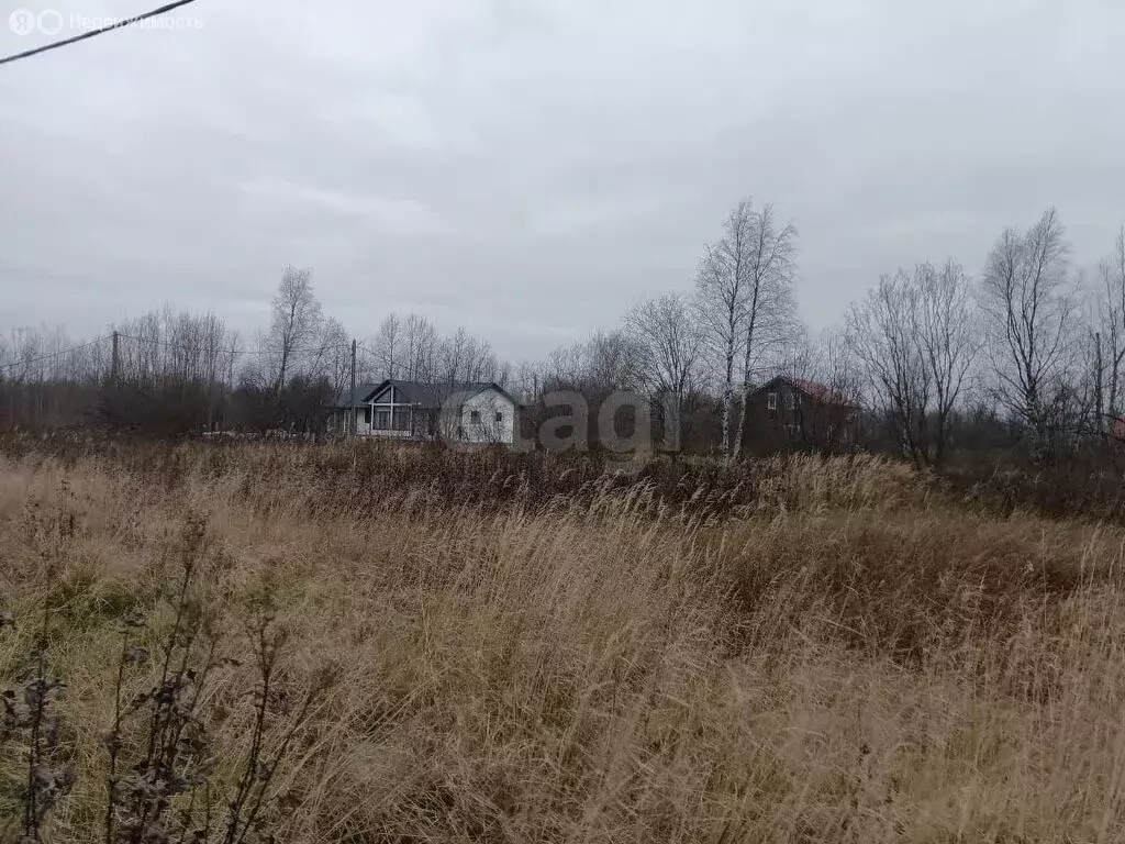 Участок в Архангельская область, Приморский муниципальный округ, ... - Фото 2