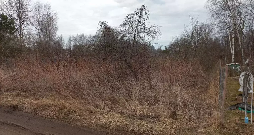 Участок в Московская область, Орехово-Зуевский городской округ, ... - Фото 2
