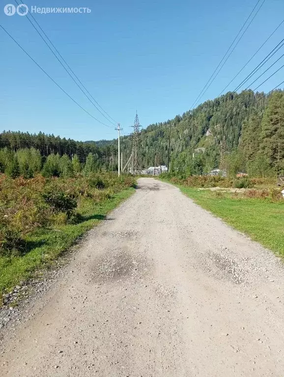 Участок в Турочакский район, село Кебезень (10 м) - Фото 1