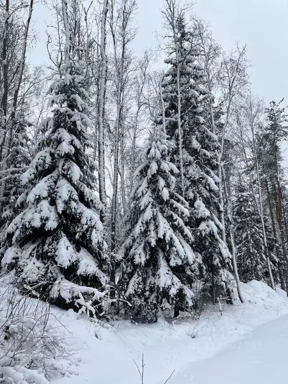 Участок в Ленинградская область, Всеволожский район, Юкковское с/пос, ... - Фото 1