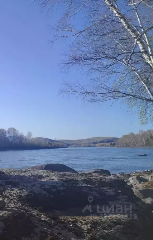 Участок в Алтай, Майминский район, Чуйское СТ  (4.4 сот.) - Фото 1