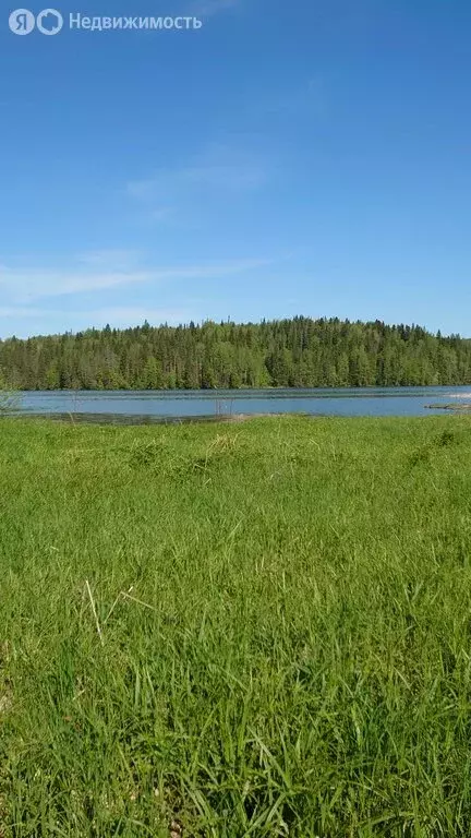 Участок в Пермский край, Чусовской муниципальный округ, деревня ... - Фото 1