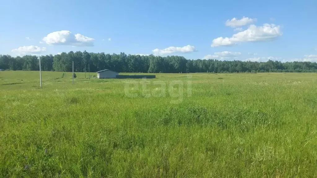 Участок в Алтайский край, Первомайский район, с. Фирсово, Полесье мкр  ... - Фото 1