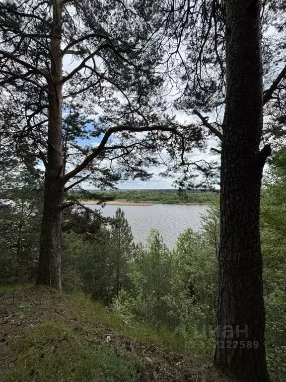 Участок в Кировская область, Орловское с/пос, д. Болдычи  (38.0 сот.) - Фото 2