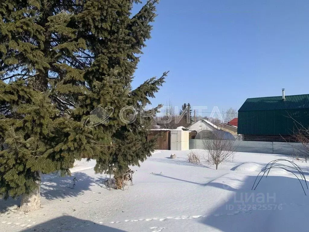 Дом в Тюменская область, Тюмень Плодовое СНТ, ул. Газонная, 1 (15 м) - Фото 1