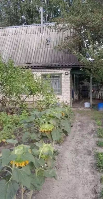 Дом в Курганская область, Курган Кургансельмаш-2 СНТ, 165 (31 м) - Фото 0