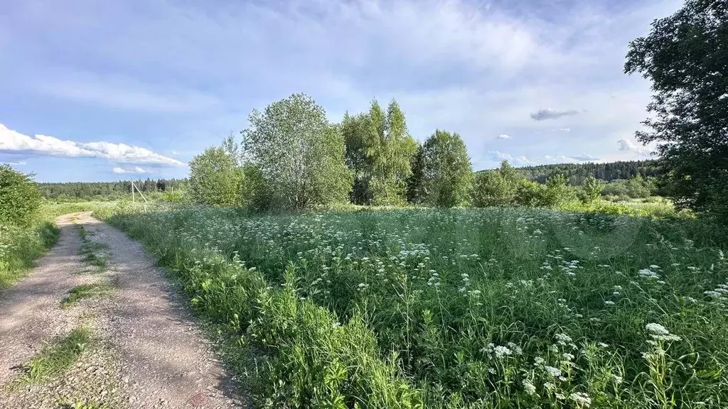 Участок 16,5 сот. (личное подсобное хозяйство (лпх)) - Фото 1