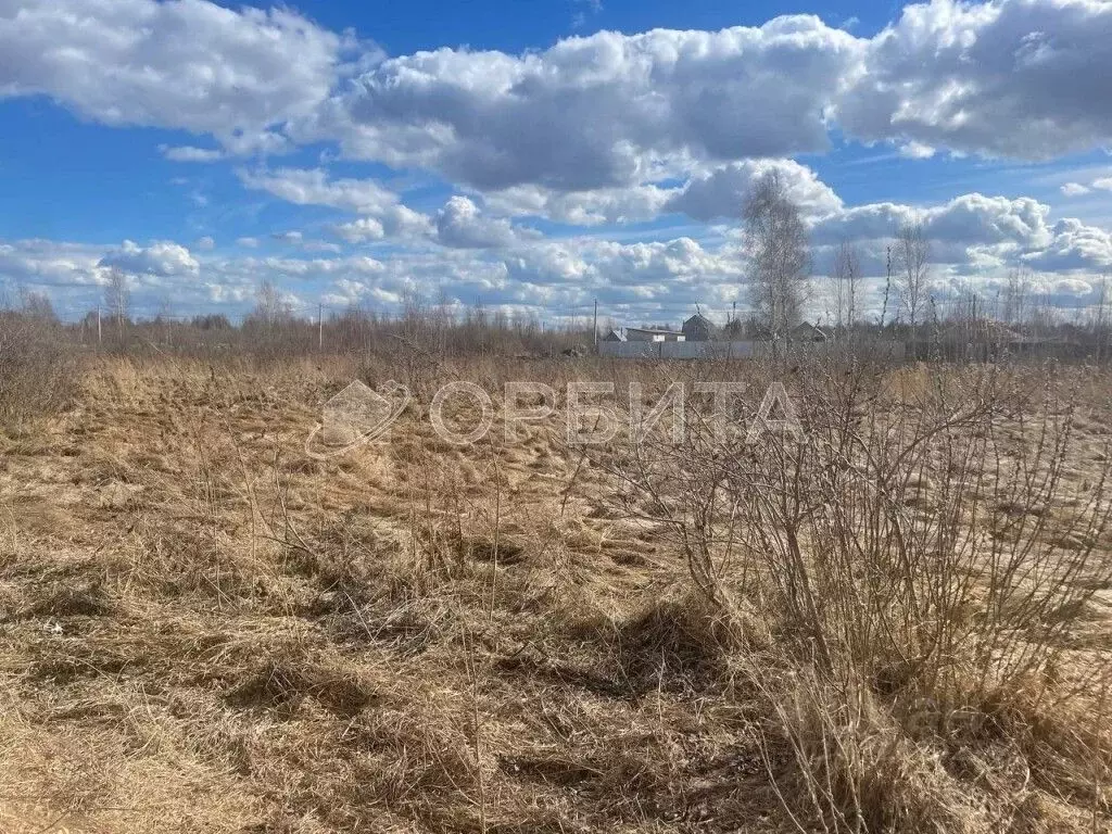 Участок в Тюменская область, Тюмень Царево садовое товарищество, ул. ... - Фото 2