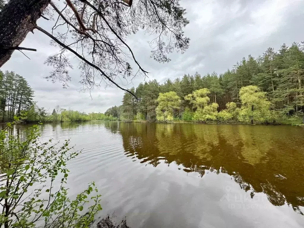Участок в Свердловская область, Талицкий муниципальный округ, пос. ... - Фото 1