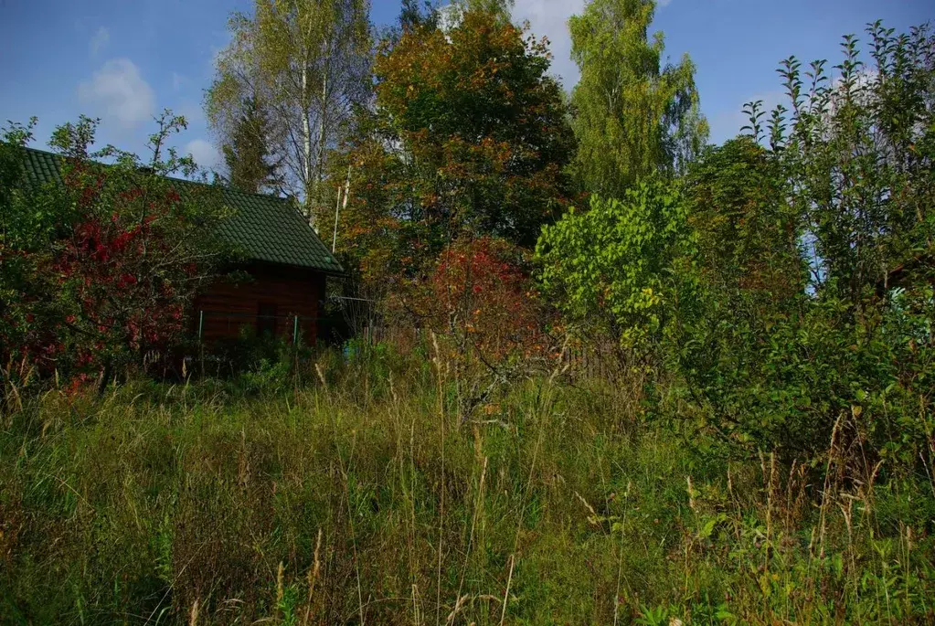 Участок в Московская область, Рузский муниципальный округ, Долматово ... - Фото 2