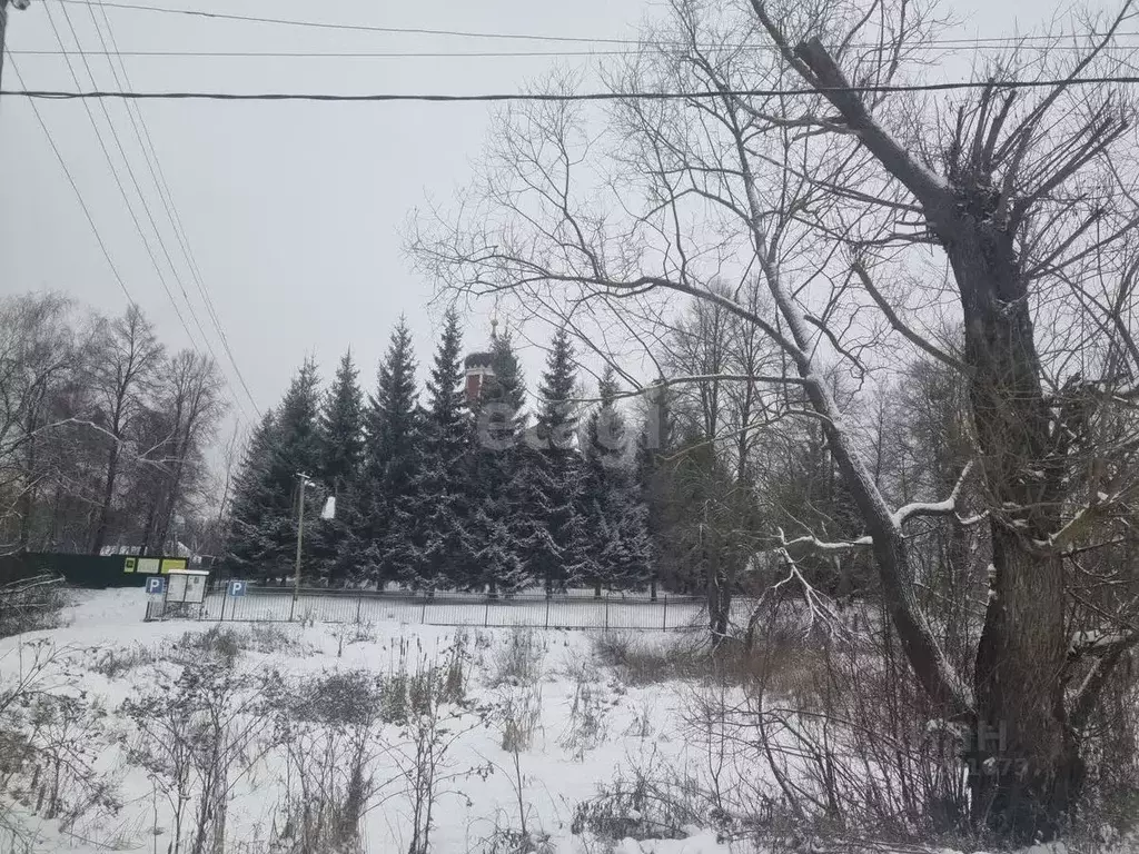 Участок в Московская область, Коломна городской округ, д. Малое ... - Фото 1