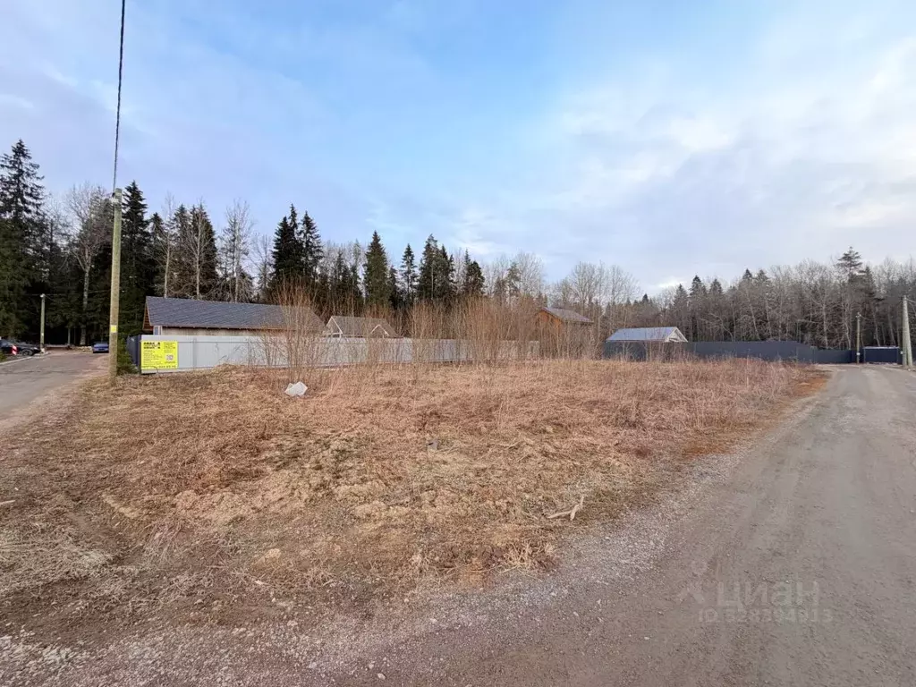 Участок в Ленинградская область, Волосовский район, Клопицкое с/пос, ... - Фото 1