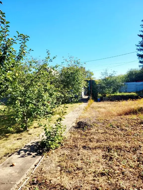 Участок в Воронежская область, Новоусманский район, Отрадненское ... - Фото 2