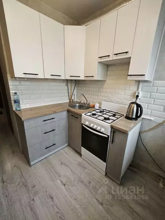 1-к кв. Псковская область, Псков ул. Металлистов, 7 (28.7 м) - Фото 2