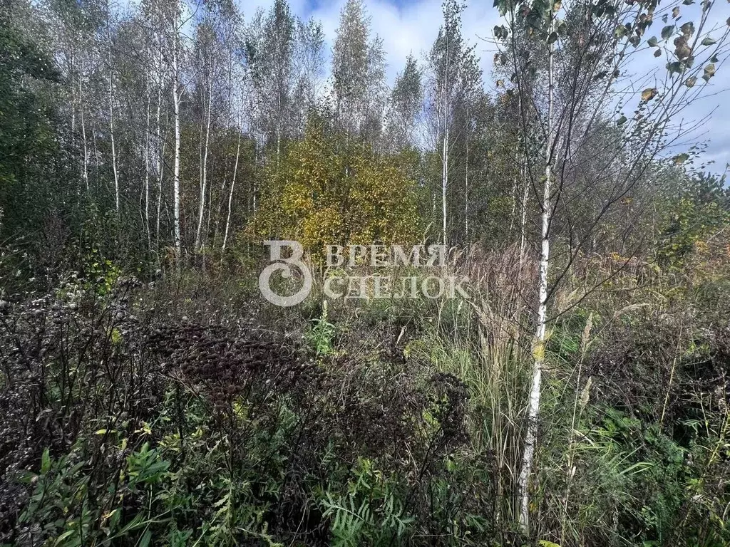 Участок в Владимирская область, Владимир Пиганово мкр,  (9.39 сот.) - Фото 1