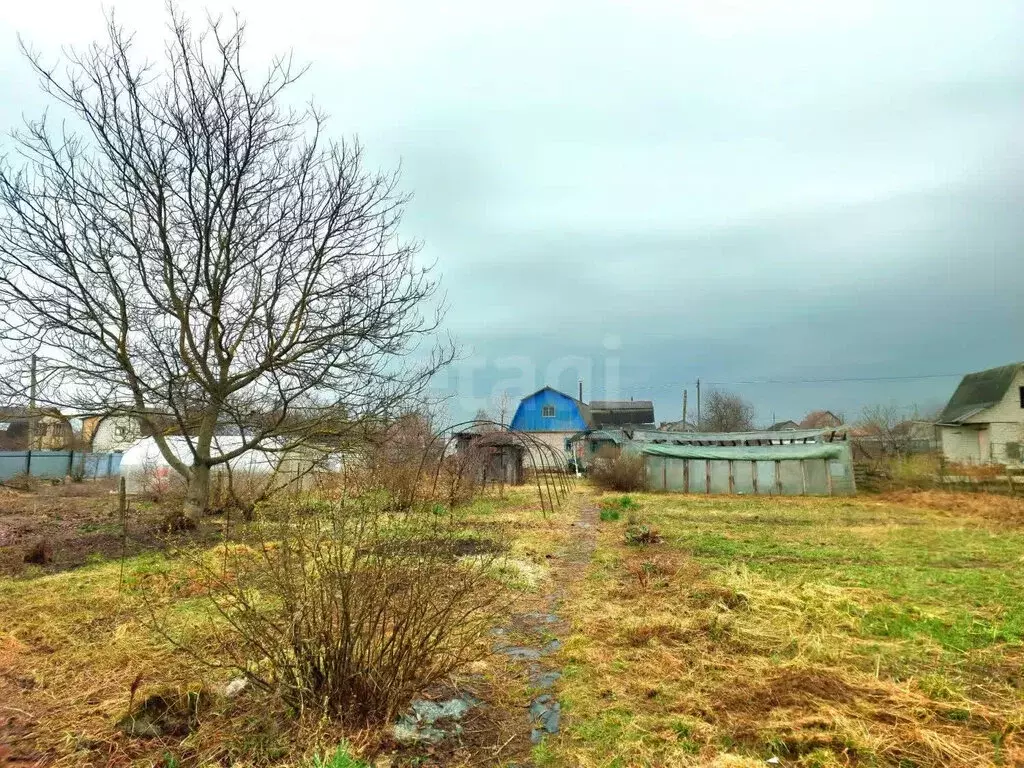 Участок в посёлок Новые Дарковичи, Майская улица (5.94 м) - Фото 1