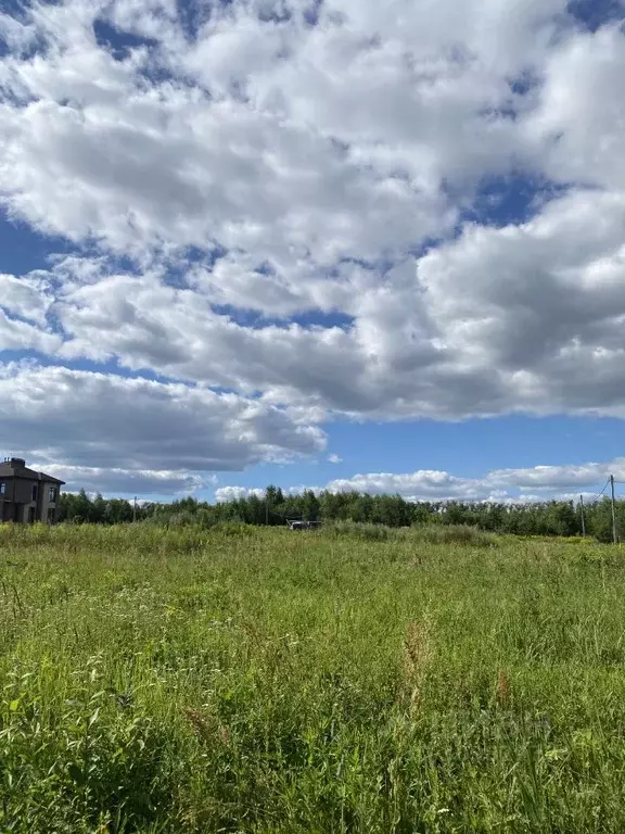 Участок в Нижегородская область, Богородский муниципальный округ, с. ... - Фото 1