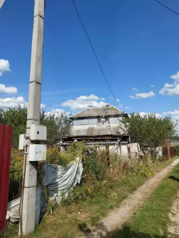 Участок в Брянская область, Брянский район, Новодарковичское с/пос, ... - Фото 1