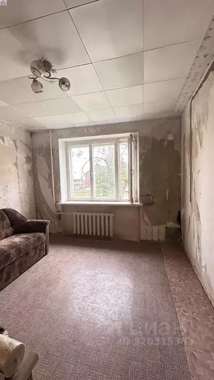 Комната Самарская область, Сызрань ул. Новостроящаяся, 12к2 (17.8 м) - Фото 1