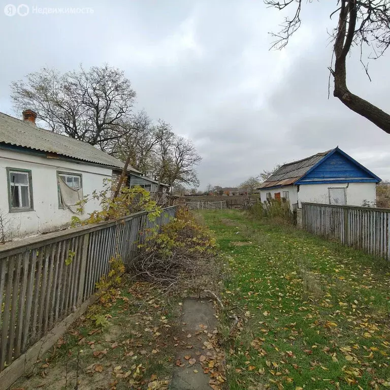 Дом в село Николаевка, улица Горького (47.4 м) - Фото 2