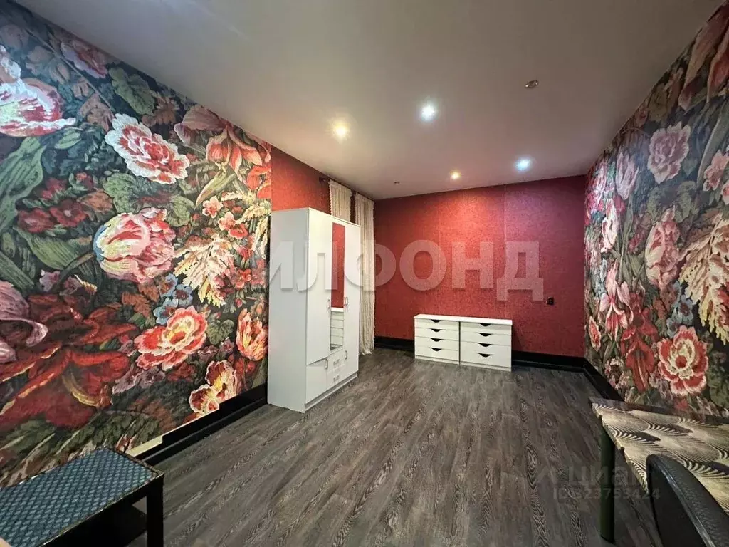 3-к кв. Новосибирская область, Новосибирск Владимировская ул., 33 ... - Фото 1